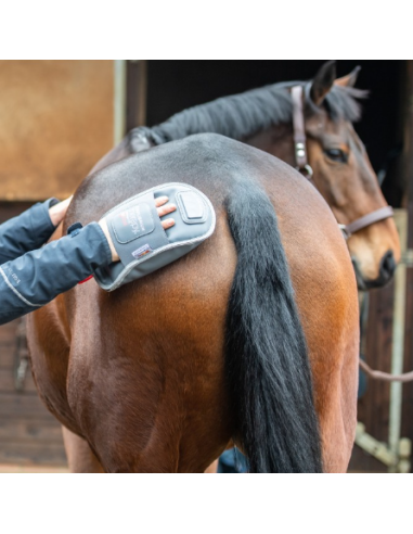 Gants de massage en caoutchouc intense pour chevaux
